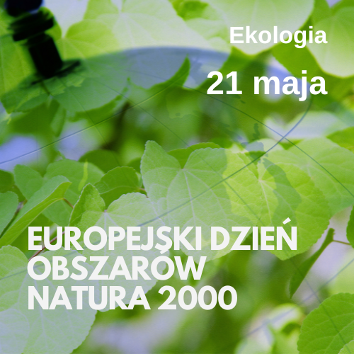 Europejski Dzień Obszarów Natura 2000: materiały edukacyjne o ekologii