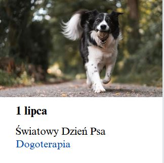 1 lipca - Światowy Dzień Psa. Dogoterapia