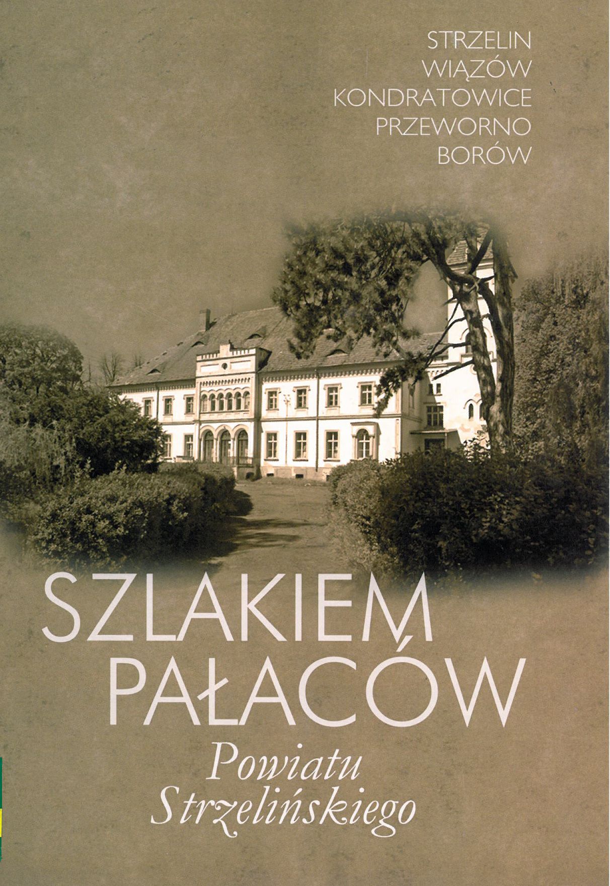 okładka książki - Szlakiem pałaców powiatu strzelińskiego