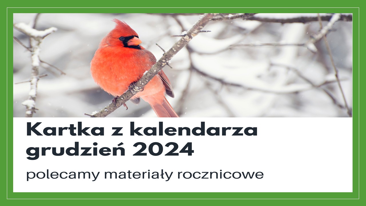 materiały na grudzień 2024