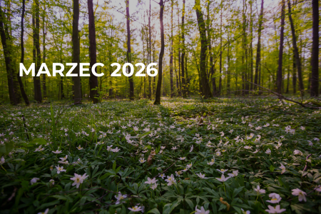Kartka z kalendarza na marzec 2026 - przegląd materiałów rocznicowych