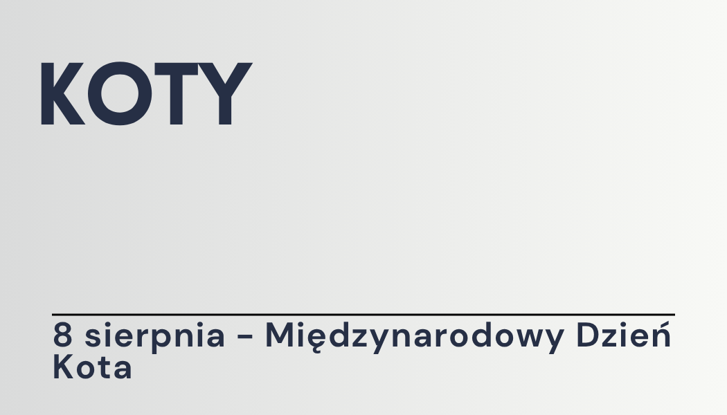 Grafika ilustracyjna: materiały edukacyjne - Koty