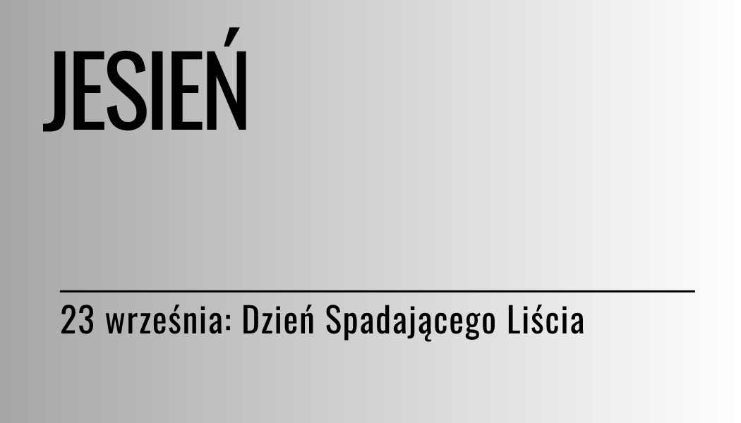 Grafika ilustracyjna: materiały edukacyjne - jesień