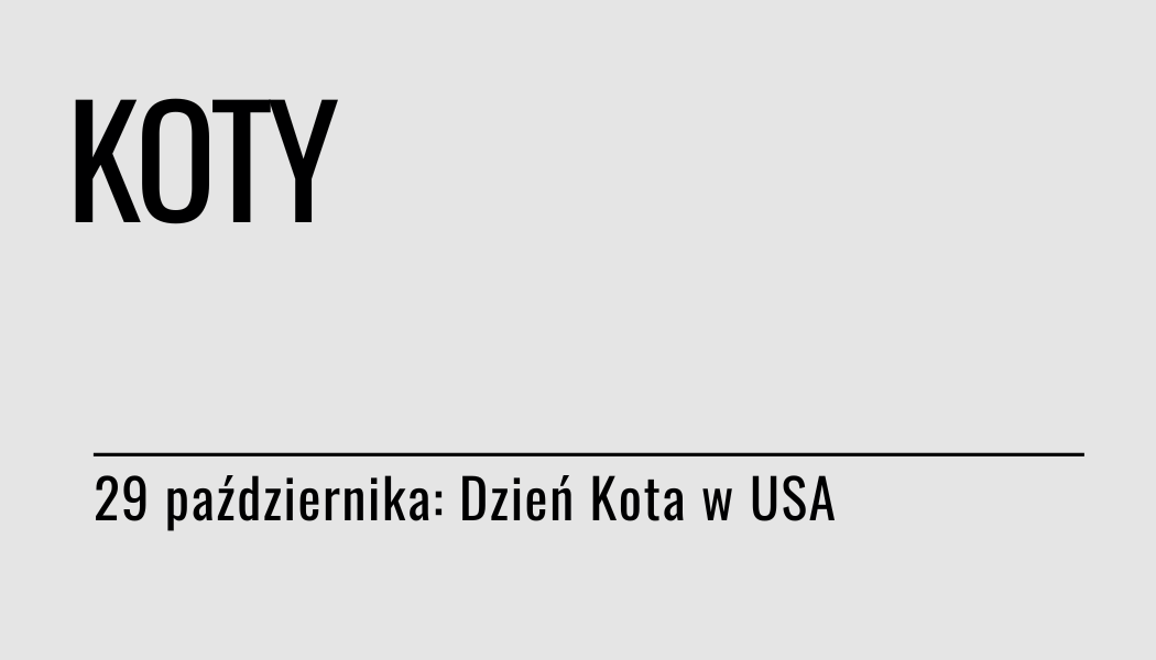 Grafika ilustracyjna: materiały edukacyjne - Koty