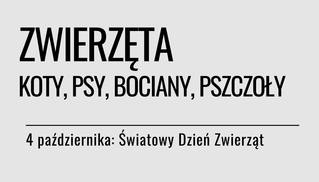 Grafika ilustracyjna: materiały edukacyjne - Dzień Zwierząt