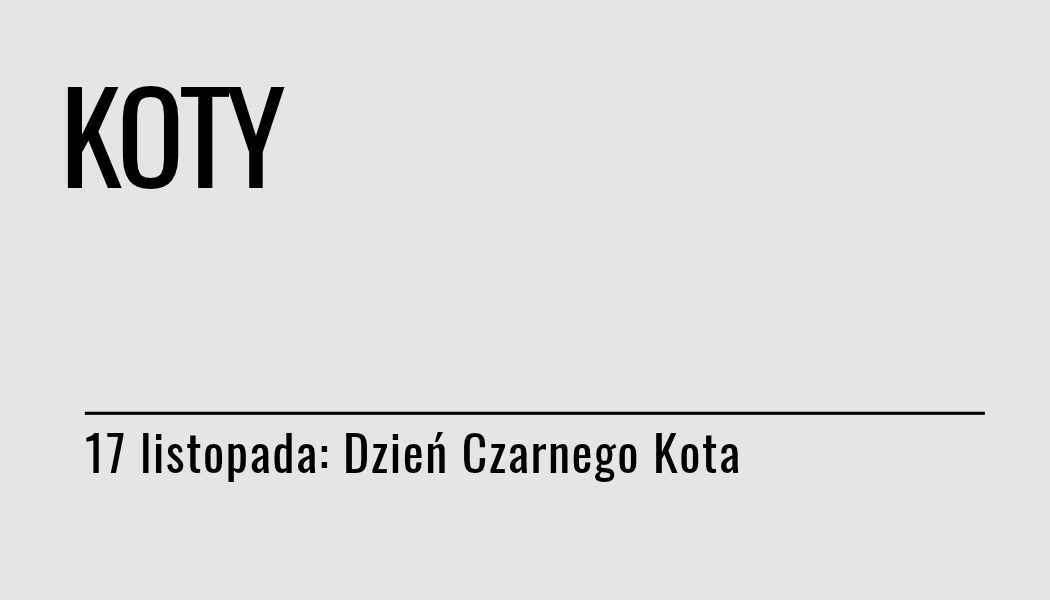 Grafika ilustracyjna: materiały edukacyjne - Dzień Czarnego Kota