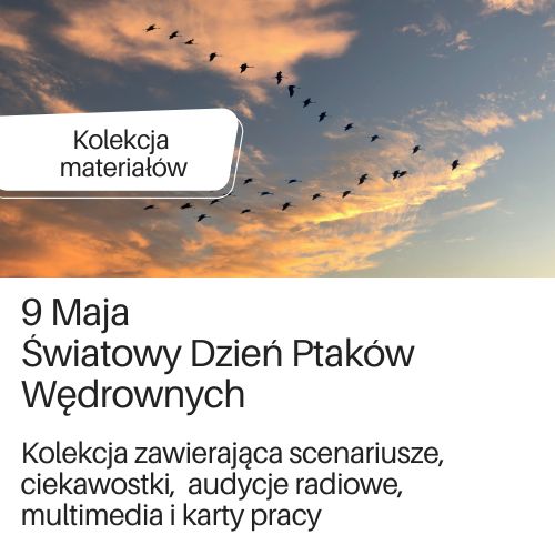 Grafika ilustracyjna kierująca do kolekcji materiałów dotyczących ptaków wędrownych