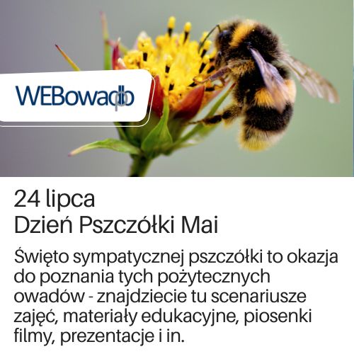 Strona WEBowaDBP na temat pszczół.