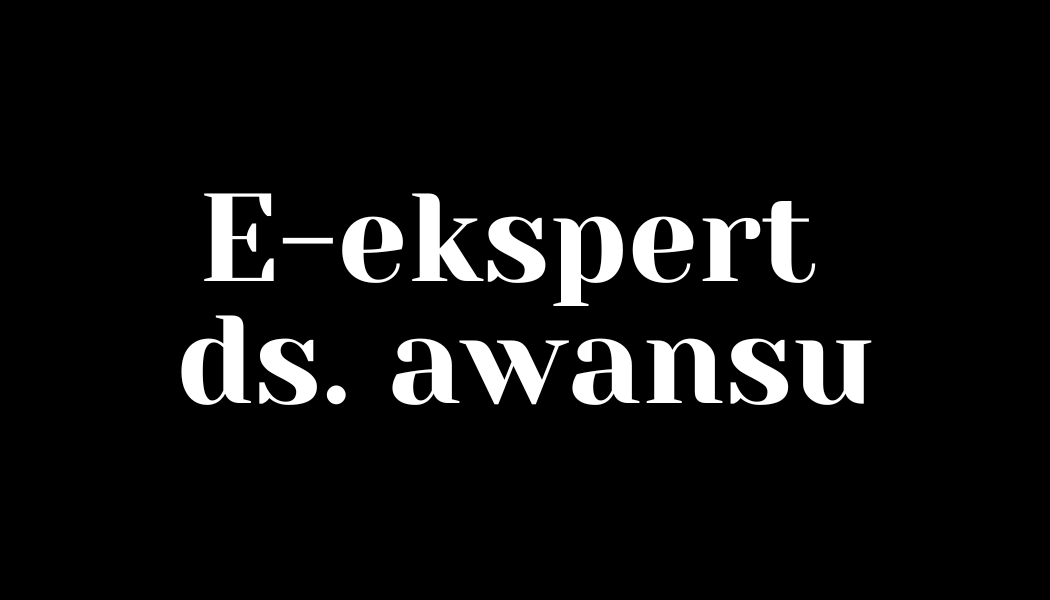 Usługa e-eksperta ds. awansu zawodowego