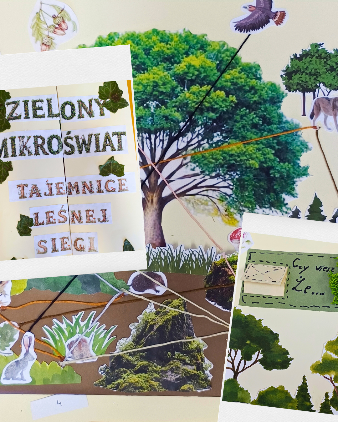 Grafika ilustracyjna do konkursu Leśne piętra życia