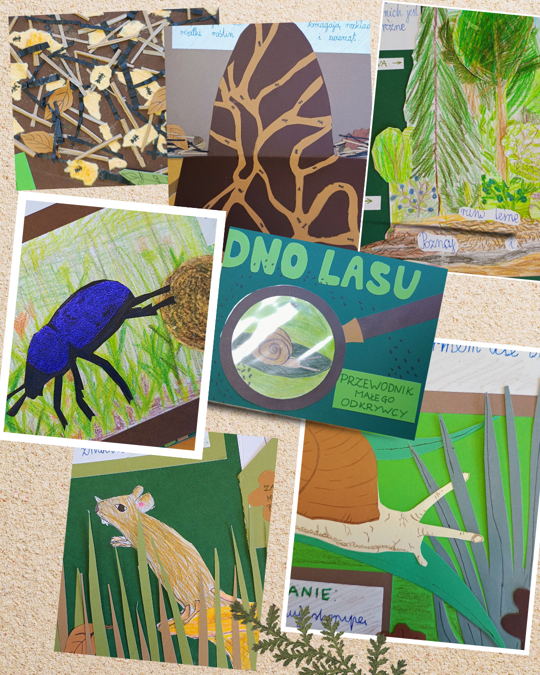 Grafika ilustracyjna do konkursu Leśne piętra życia