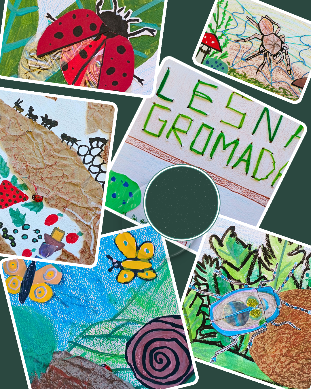 Grafika ilustracyjna do konkursu Leśne piętra życia