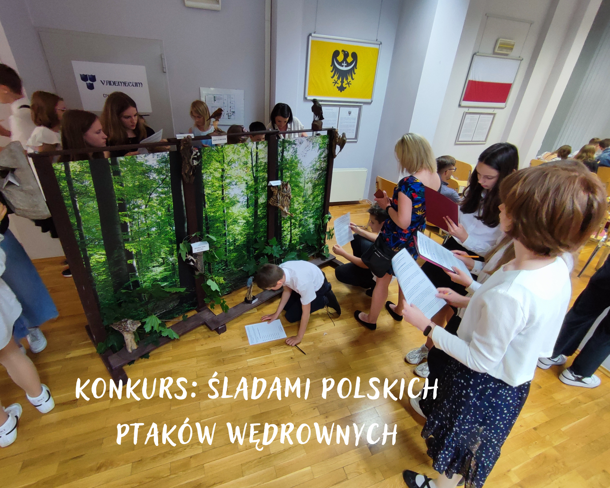Konkurs Śladami polskich ptaków wędrownych: podsumowanie 