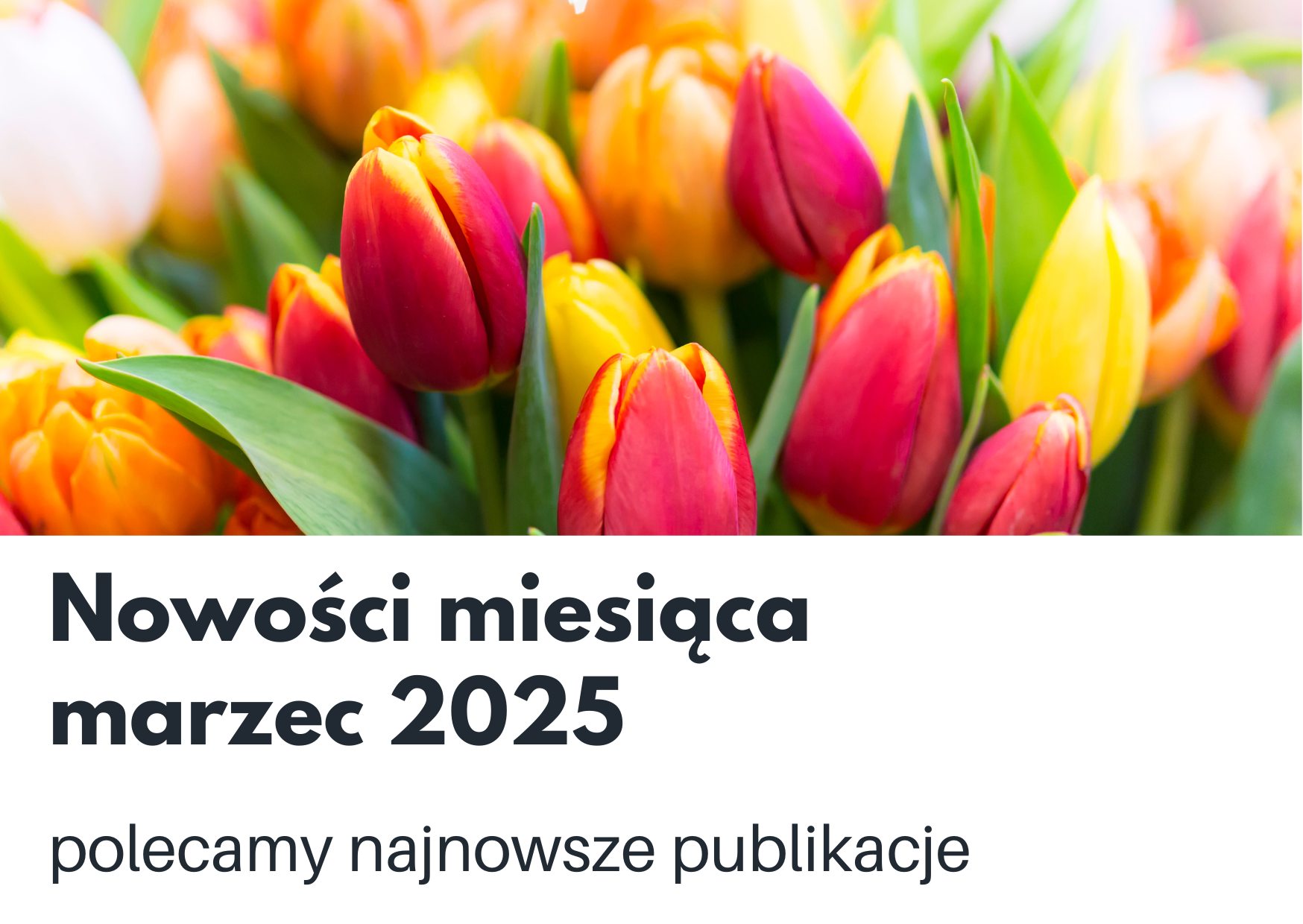 Nowości książkowe na marzec 2025: link do kolekcji