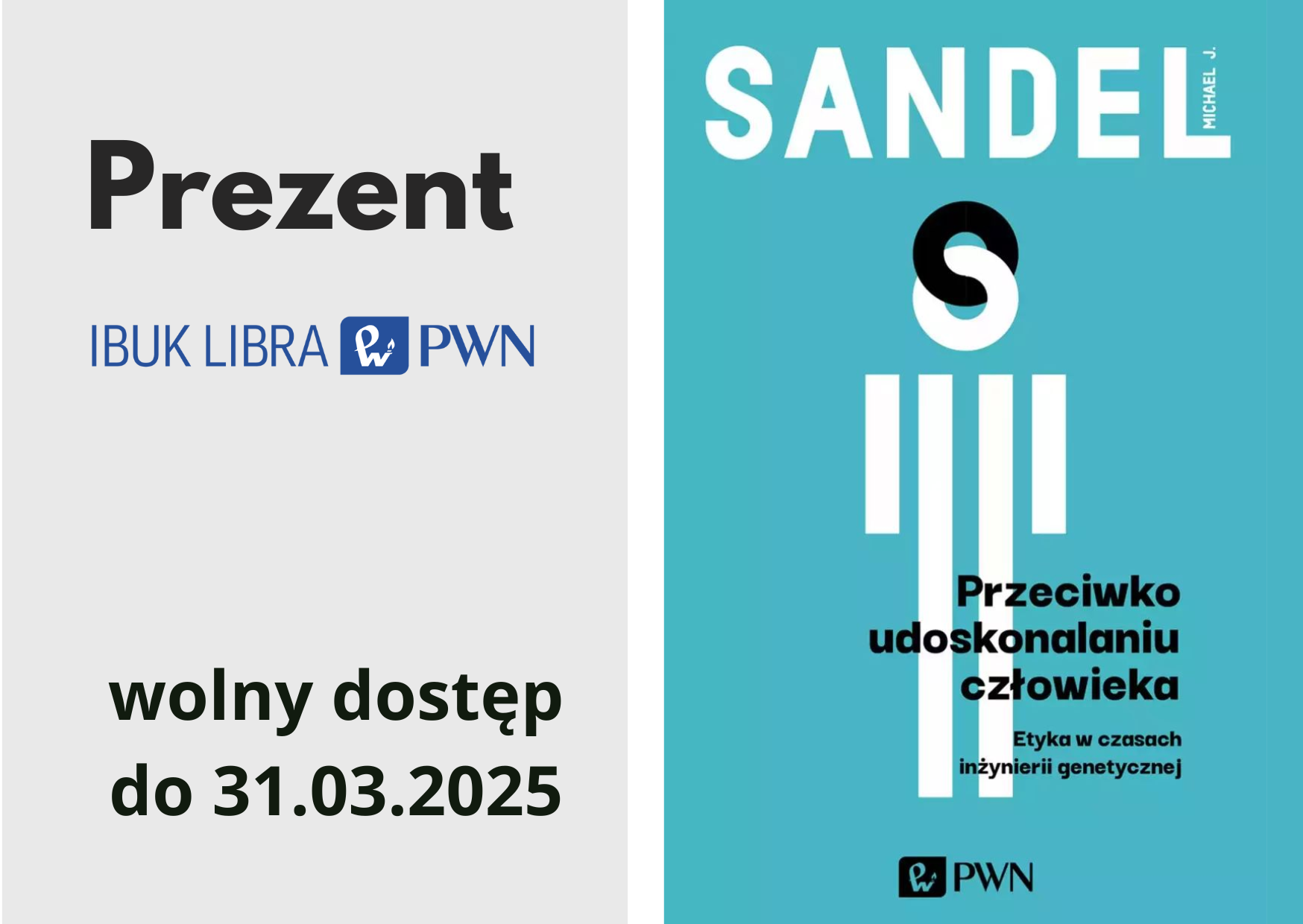 Prezent IBUK Libra na marzec 2025: link do informacji o książce