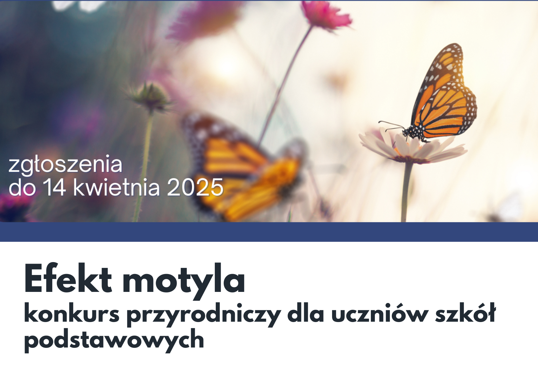 Grafika z zaproszeniem do udziału w konkursie przyrodniczym Efekt motyla