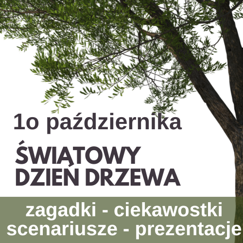 Światowy Dzień Drzewa: materiały edukacyjne