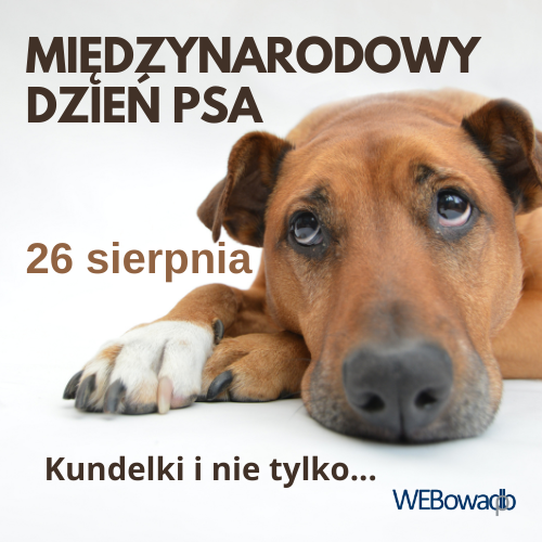 Międzynarodowy Dzień Psa: materiały tematyczne 