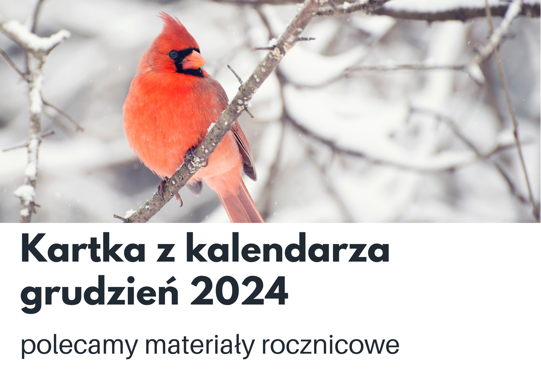 Kartka z kalendarza na grudzień 2024 - przegląd materiałów rocznicowych