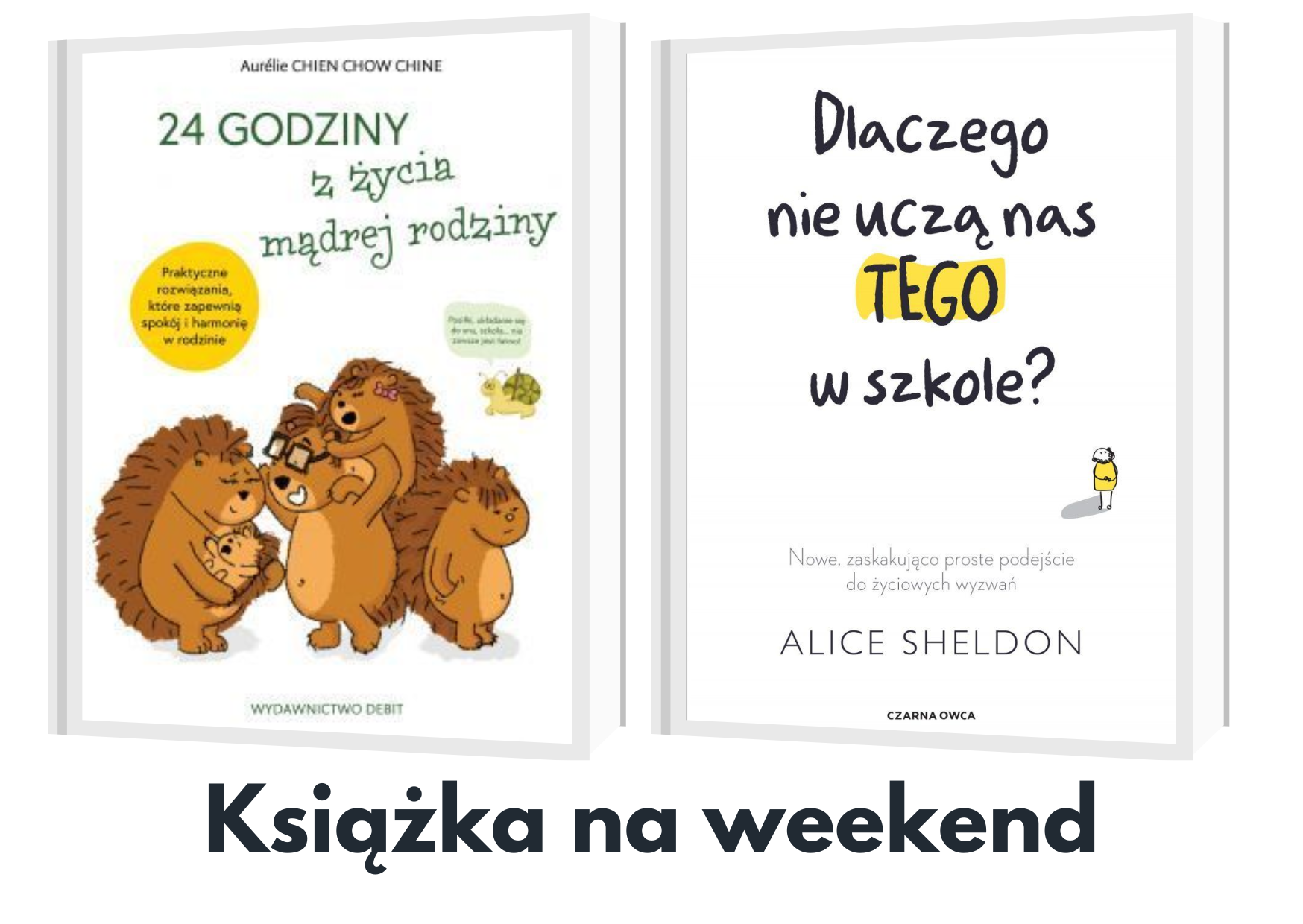 Grafika z linkiem do prezentacji z polecanymi książkami dla rodziców dzieci w wieku przedszkolnym