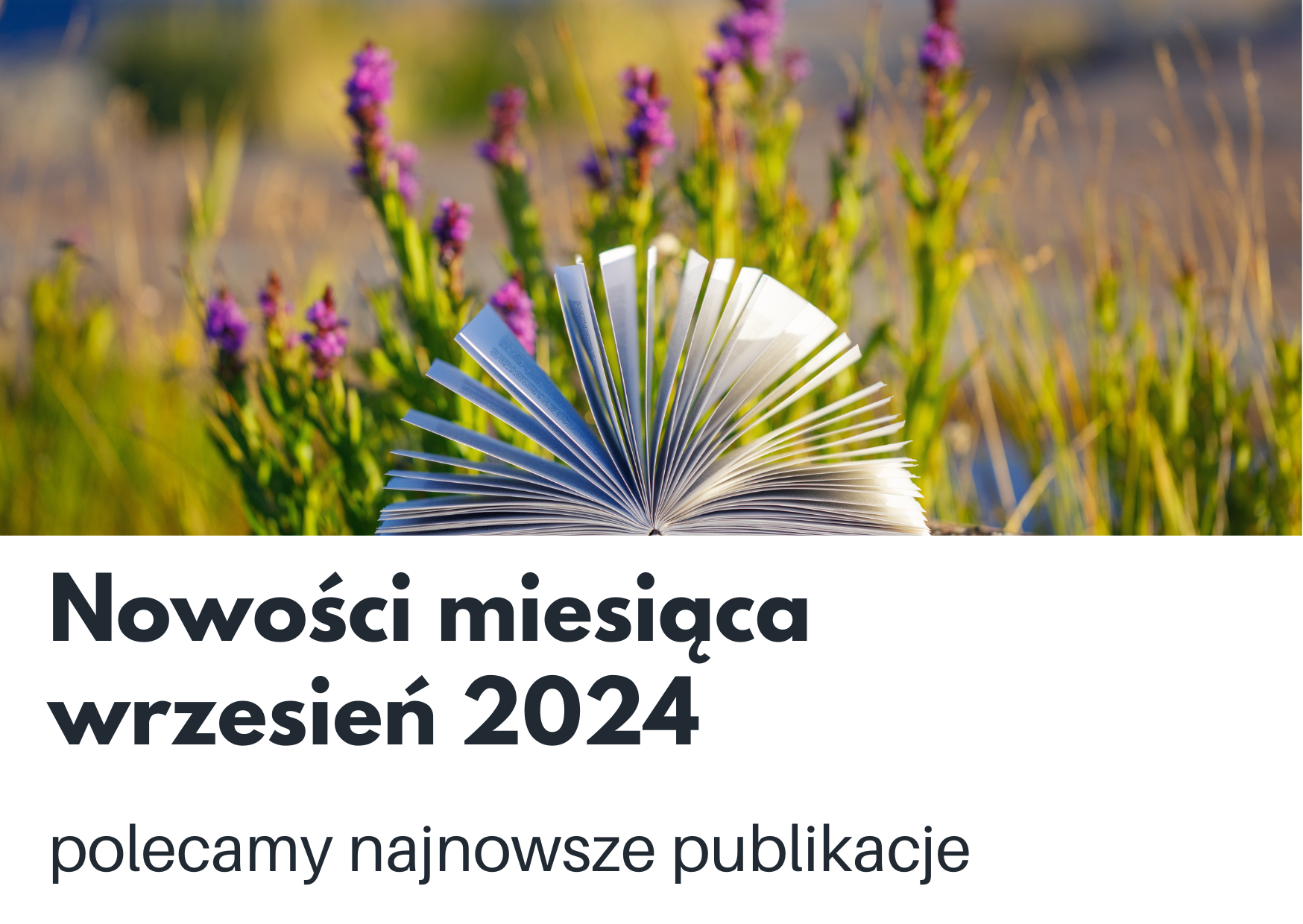 Nowości książkowe na wrzesień 2024