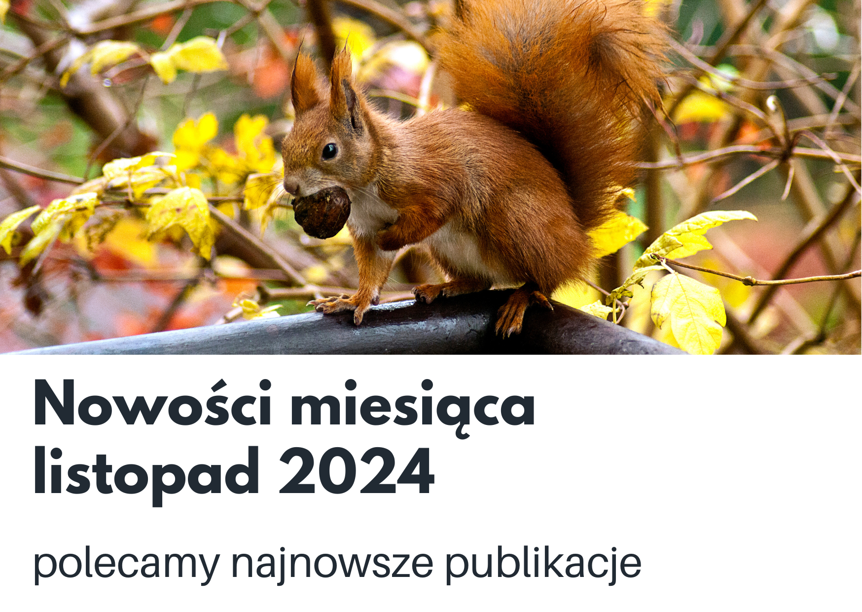 Nowości książkowe na listopad 2024