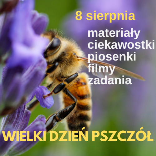 Wielki Dzień Pszczół: materiały edukacyjne, piosenki i wierszyki, praktyczne zadania, scenariusze, filmy i prezentacje