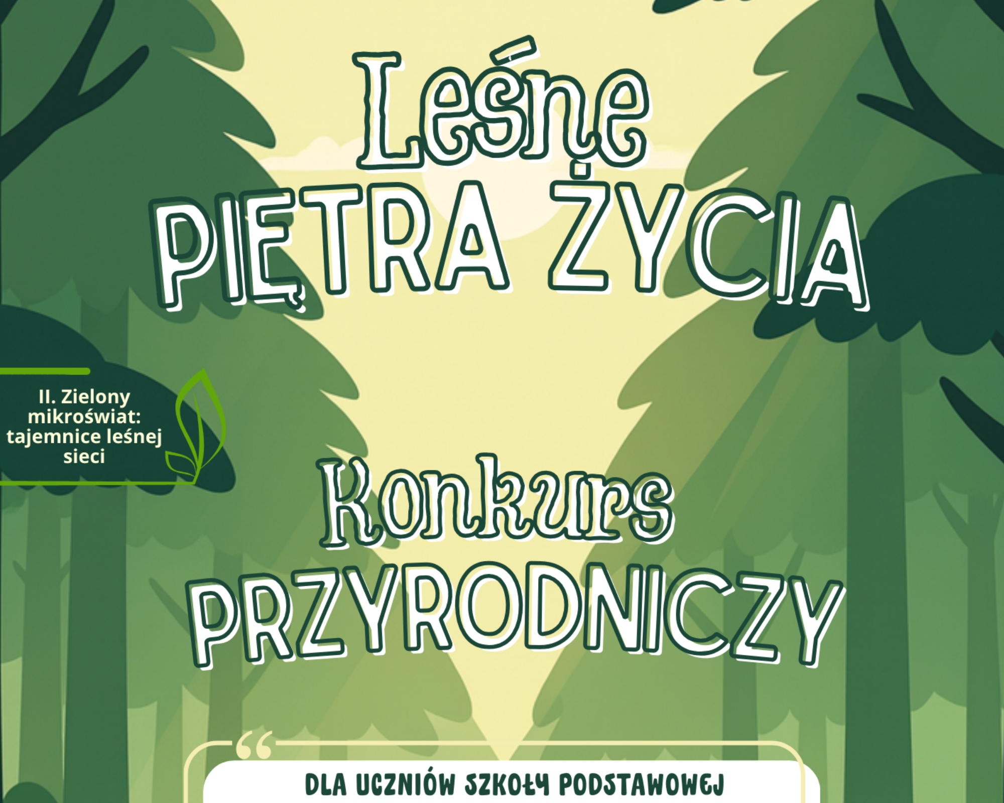 Grafika ilustracyjna do konkursu przyrodniczego - Lesne pietra zycia