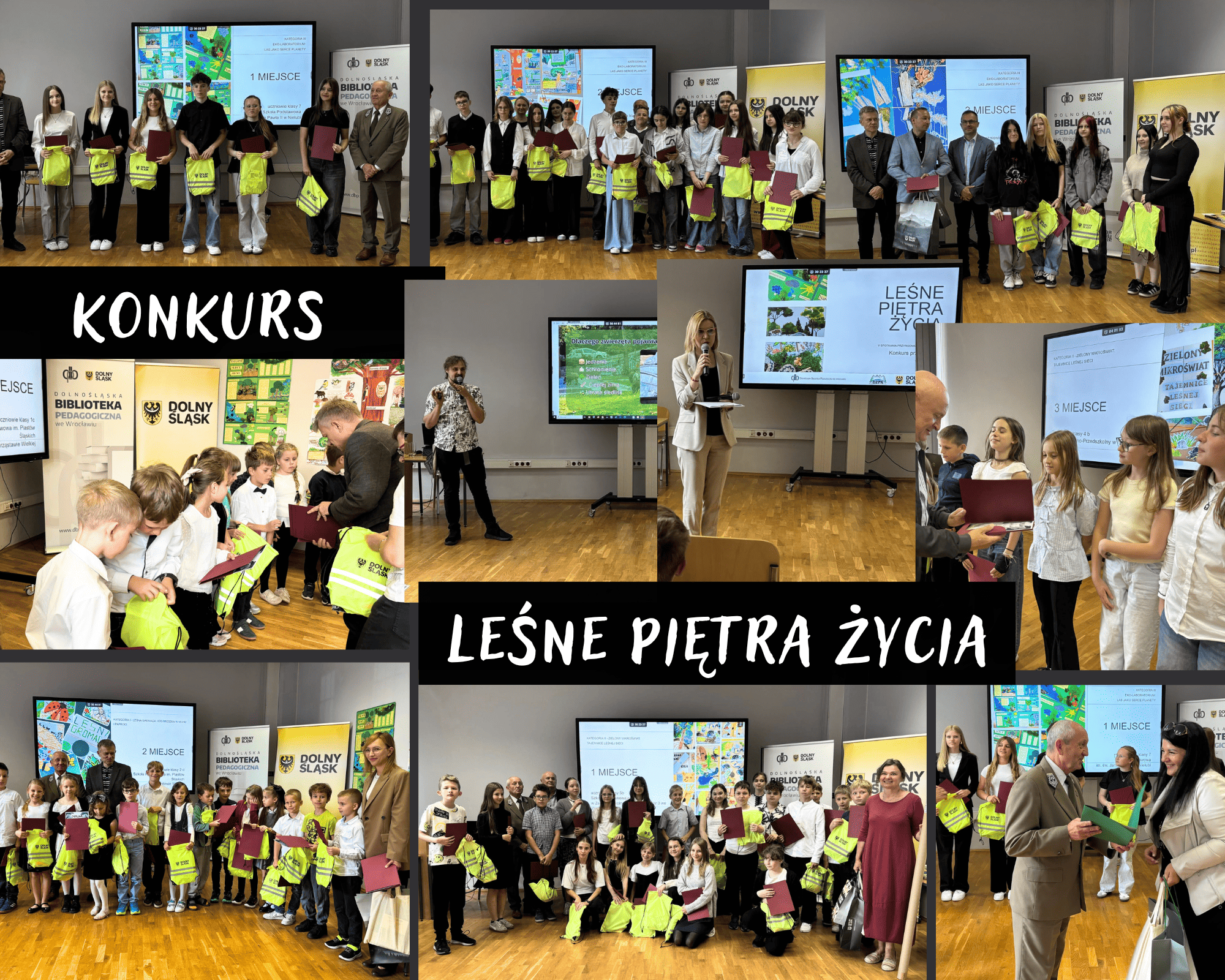 Grafika ilustracyjna: Fotorelacja z konkursu Leśne piętra życia