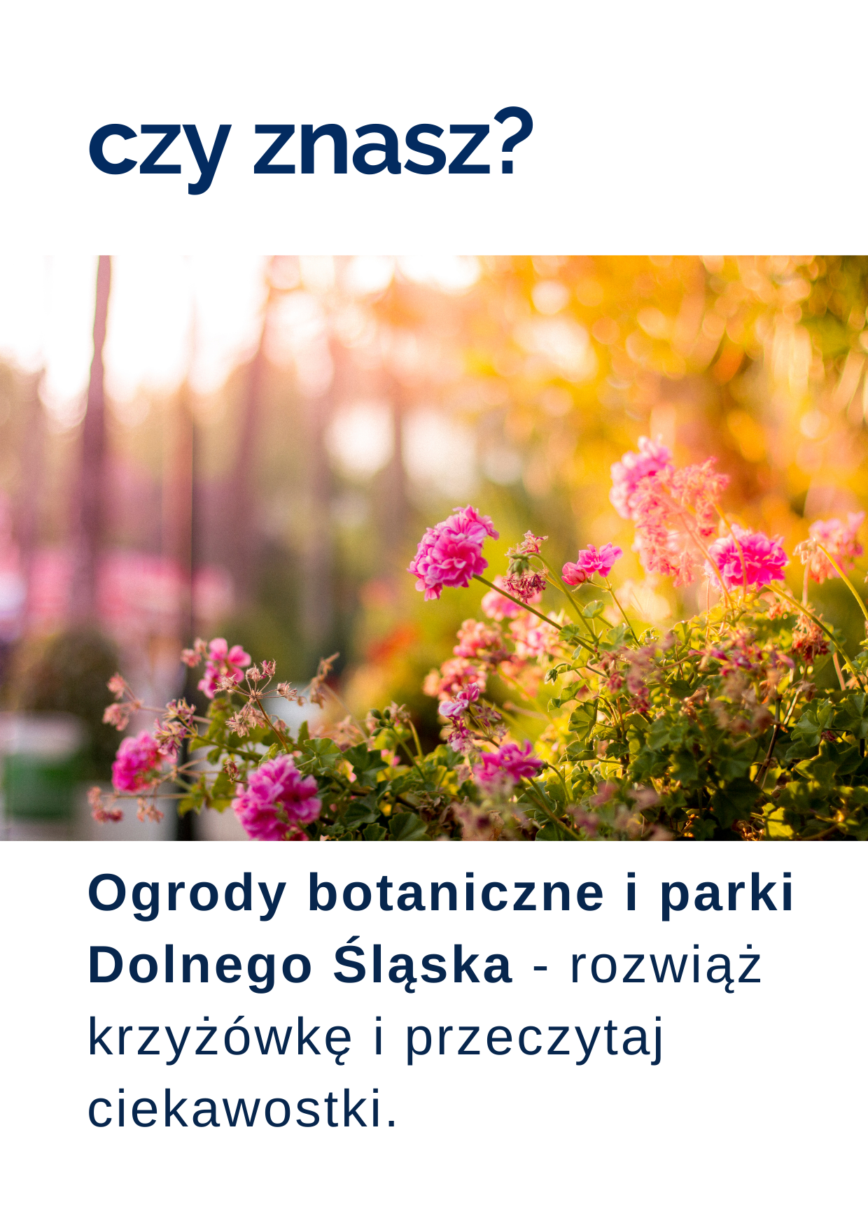 Zagadka tygodnia o Dolnym Śląsku: ogrody botaniczne i parki