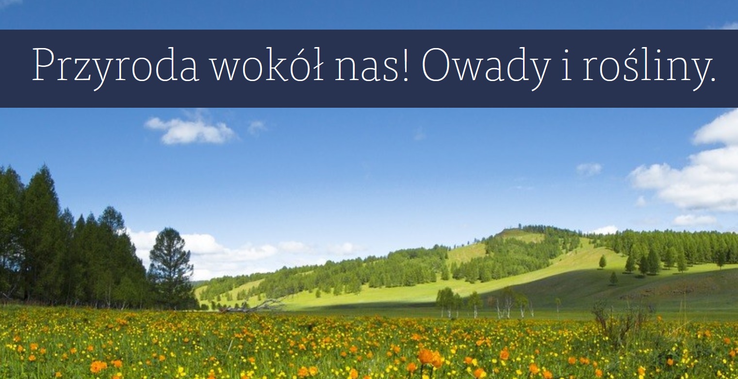 przyroda wokół nas