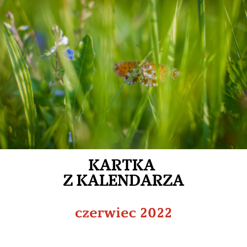 Kartka z kalendarza - czerwiec 2022: materiały informacyjne i edukacyjne
