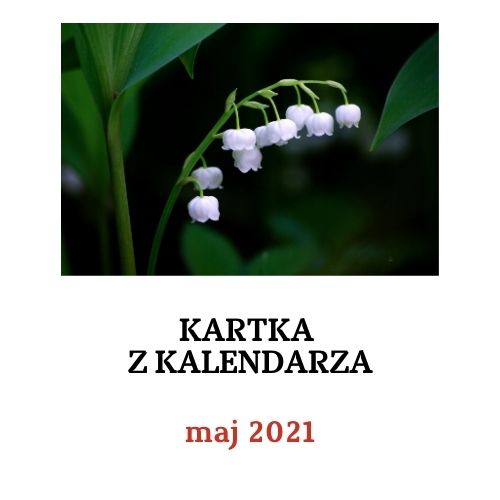 Kartka z kalendarza maj 2021 - rocznice wydarzeń