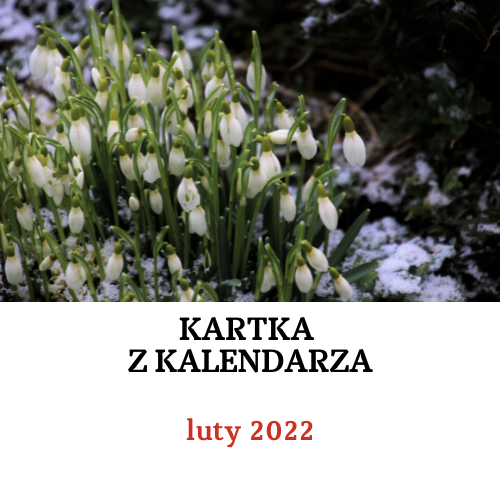 Kartka z kalendarza - luty 2022: materiały informacyjne i edukacyjne