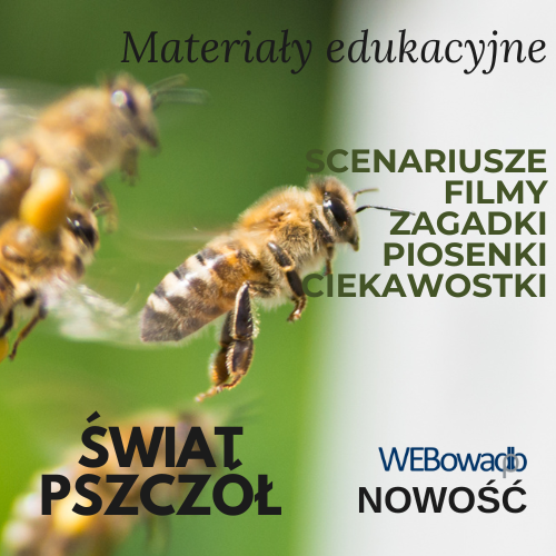 Materiały edukacyjne: Świat pszczół