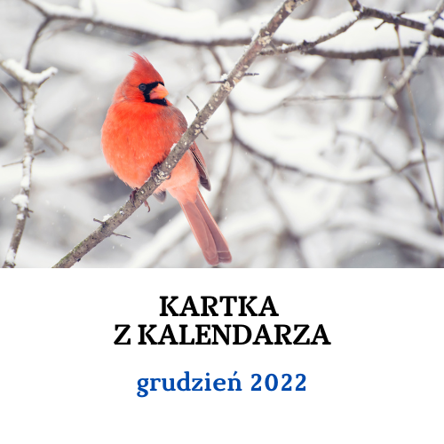 Kartka z kalendarza - grudzień 2022: materiały informacyjne i edukacyjne