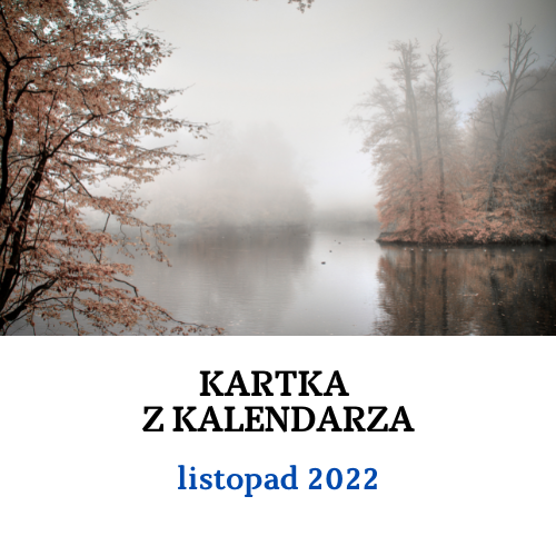 Kartka z kalendarza - listopad 2022: materiały informacyjne i edukacyjne